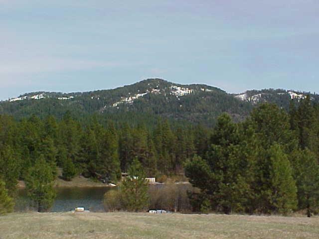 14 Willow Way unit 11, Cascade, ID 83611 - photo 1