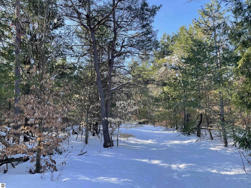 Trails through the property