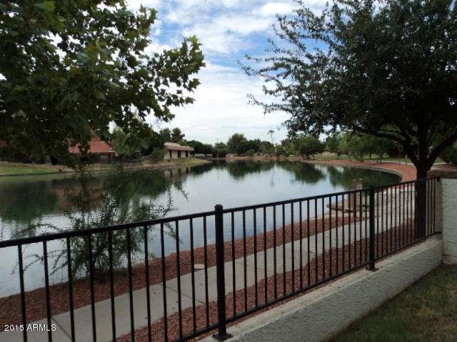 Back yard view
