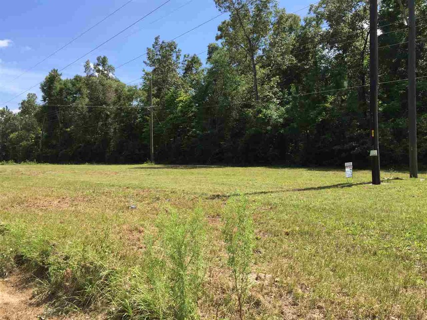 0 Ashley Hall Rd, Crawfordville, FL 32327 - photo 1