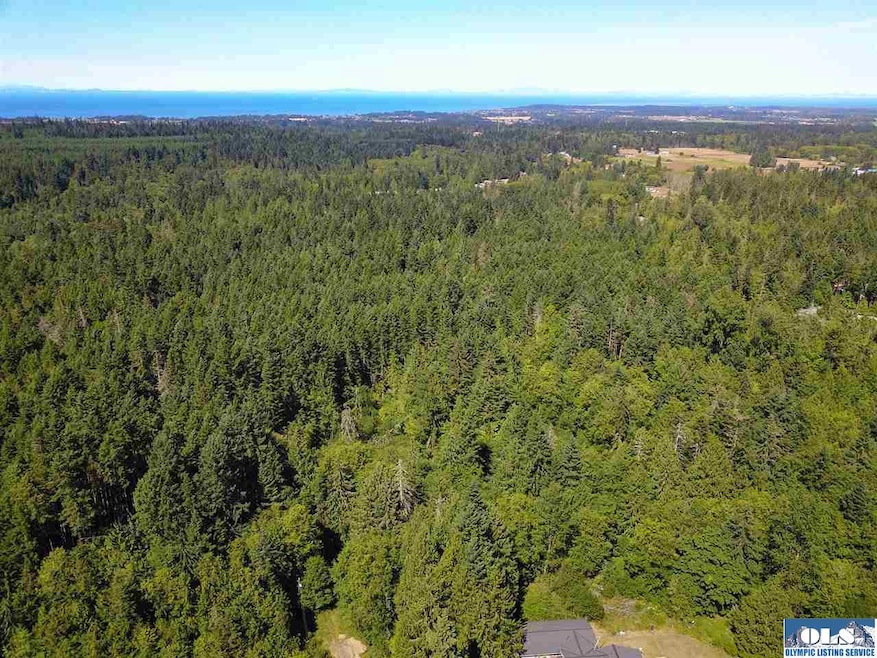 9999 N Eldridge, Sequim, WA 98382 - photo 1