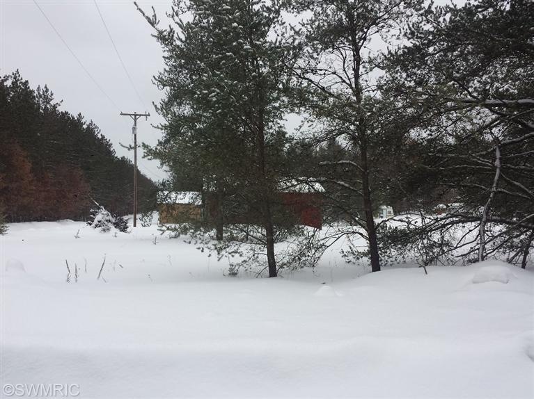 2049 S Astor Rd, Baldwin, MI 49304 - photo 1