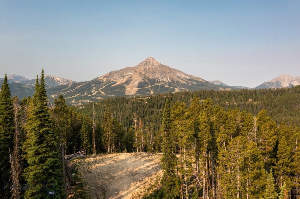 view from the cleared homsite