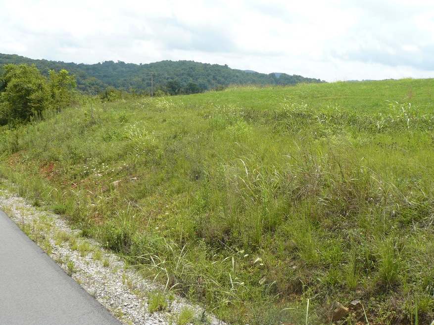 Lot 18 Lookout Dr, Rutledge, TN 37861 - photo 1