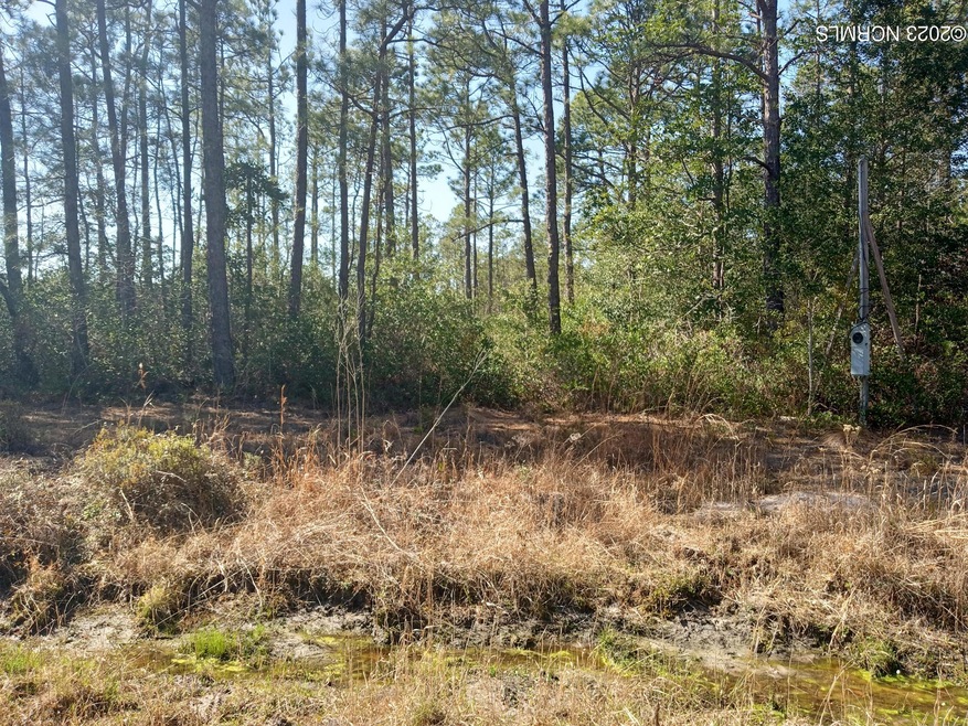 Wooded lot, power at road