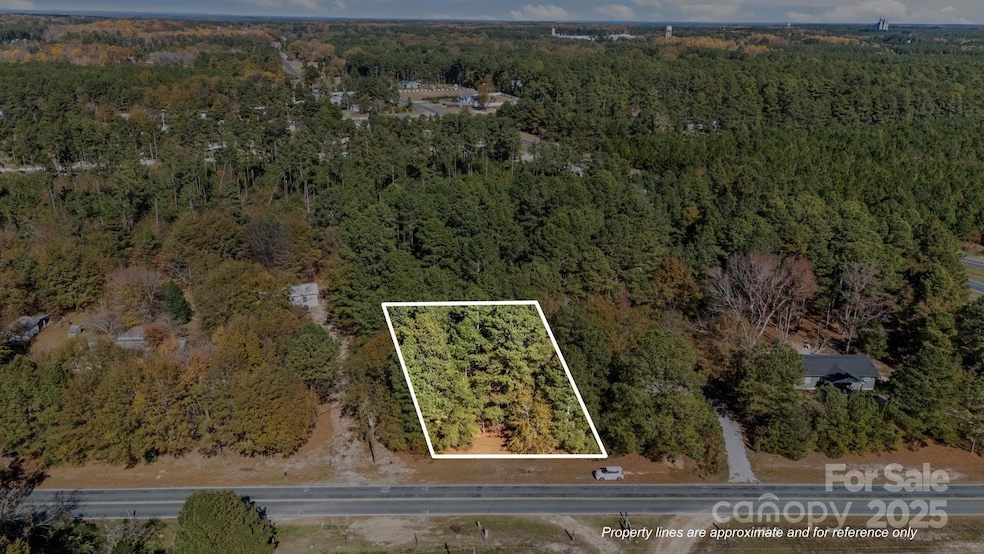 Vacant Mccallum Rd unit 8, Candor, NC 27229 - photo 1