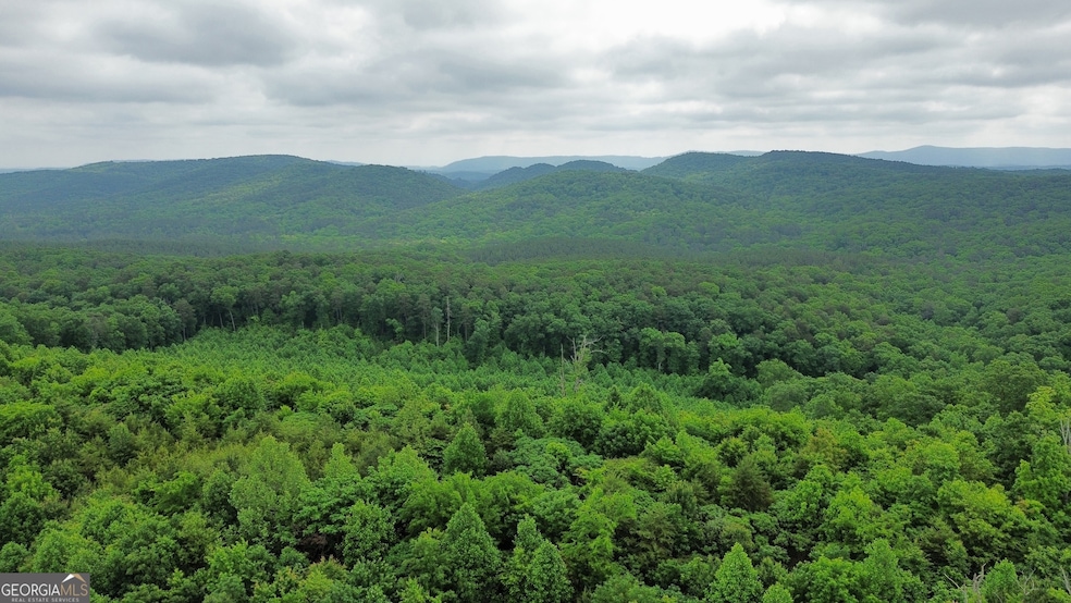 0 Hwy 151 unit 10530956, Ringgold, GA 30736 - photo 1