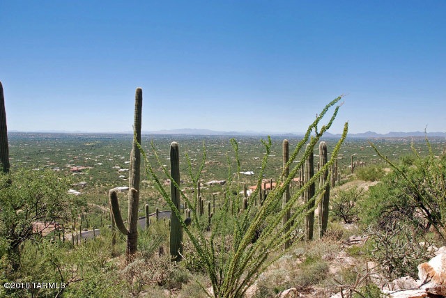 View from Lower area