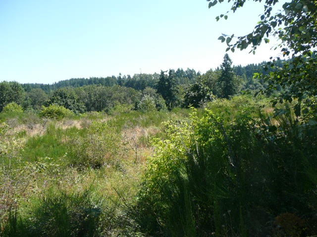 310 157th Ave SE, Kent, WA 98042 - photo 1