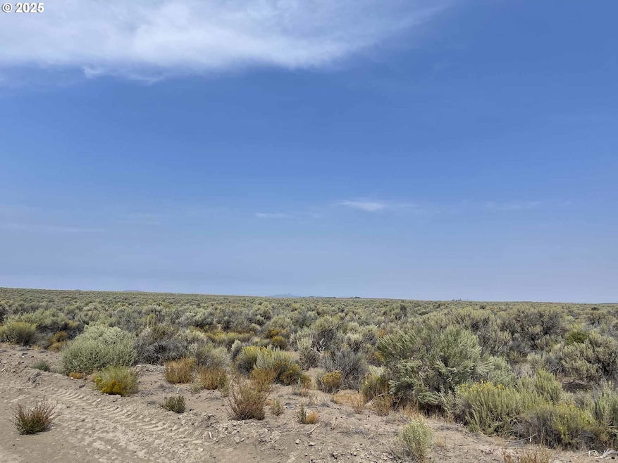 0 Off Rolfs Point Rd unit TL 4401 239674443, Christmas Valley, OR 97641 - photo 1