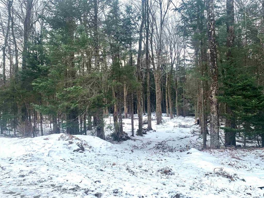 39 Stugger Rd, Dover, VT 05356 - photo 1