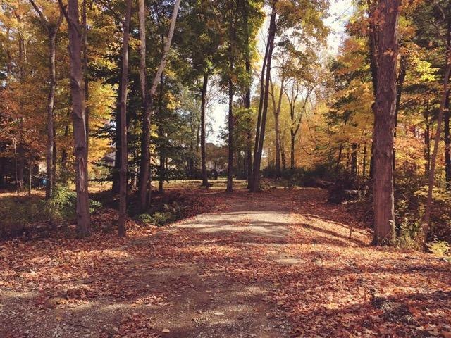 Entrance to beautiful wooded lot