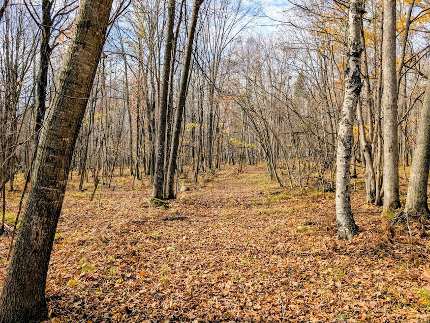 W N 20 School Rd, Glen Flora, WI 54526 - photo 1