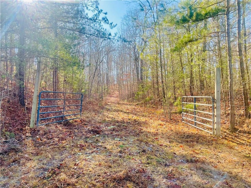View of gate and driveway