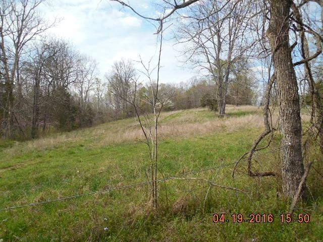 3 Mudlick Rd, Lawrenceburg, KY 40342 - photo 1