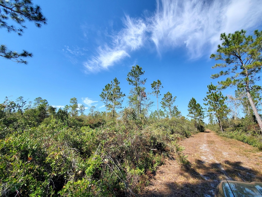 0 SW Prine Rd unit 19597163, Lee, FL 32059 - photo 1