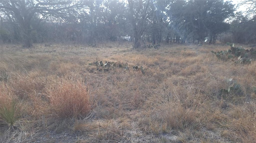 8 Grand View Dr, Brownwood, TX 76801 - photo 1