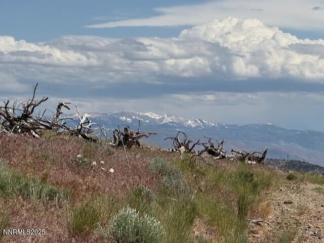 thumbnail_IMG_2937 (1)
