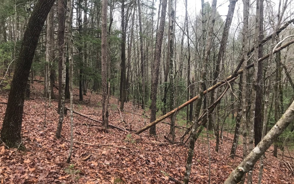 0 Satsuma Ct 672 673, Ellijay, GA 30540 - photo 1