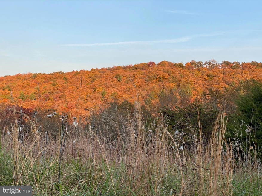 36.02 AC Parker Hollow Rd, Lost River, WV 26801 - photo 1