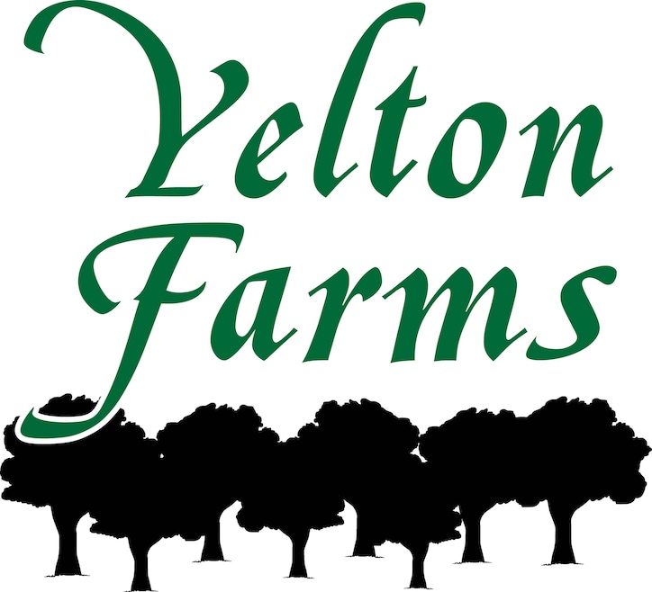 3316 Ray Owens Rd, Appling, GA 30802 - photo 1