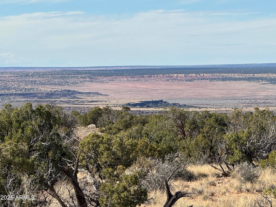 Lot 62 Sierra Highlands Ranch -- unit 62, Saint Johns, AZ 85936 - photo 1