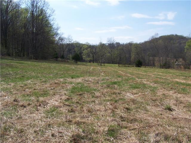 0 Pollard Hollow Rd, Prospect, TN 38477 - photo 1
