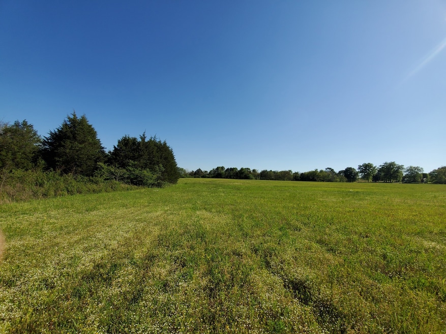 250 Temple Ford Rd, Shelbyville, TN 37160 - photo 1