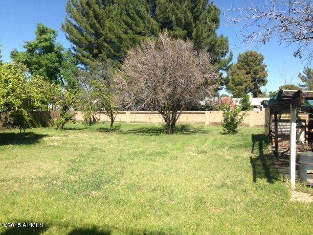 back yard pic.jpg