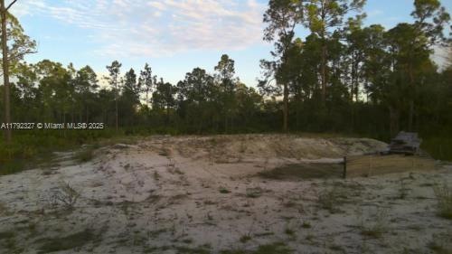 412 Lakeridge Blvd, Lehigh Acres, FL 33972 - photo 1