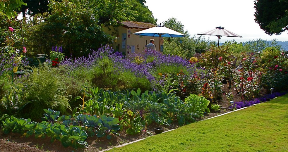 803 Webster St, Mukilteo, WA 98275 - photo 1