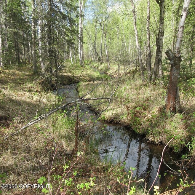 stream