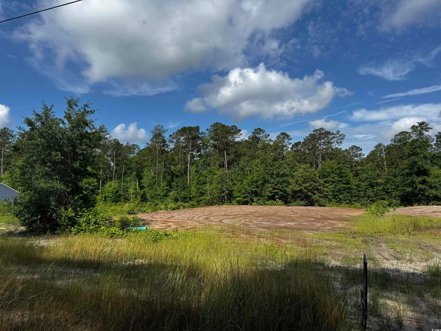 View of wooded area