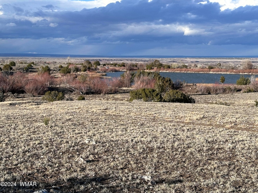 View from -002D towards Patterson Ponds
