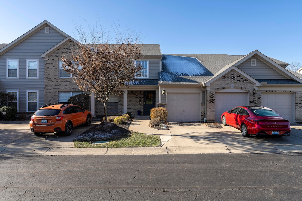 Vina Vista-2