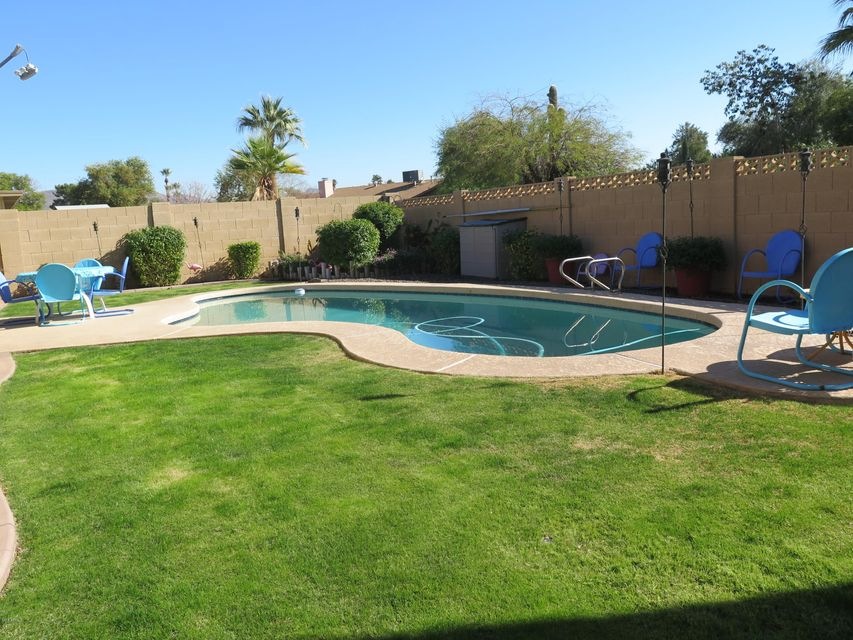 Backyard Pool