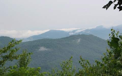 Main View