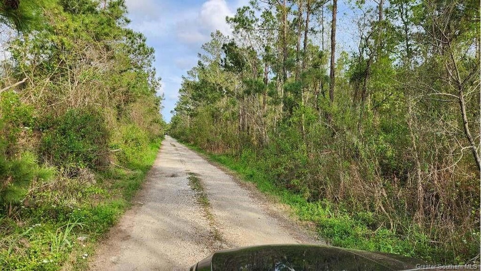 0 Olsen Rd unit SWL25001361, Sulphur, LA 70665 - photo 1