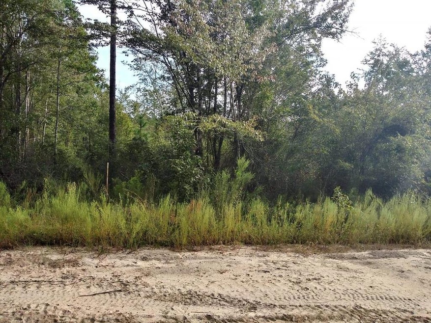 300 Nancy Ln, Ailey, GA 30401 - photo 1