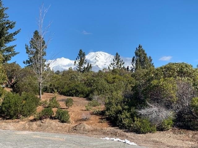 Lot 8 Twin View Ct, Mount Shasta, CA 96067 - photo 1