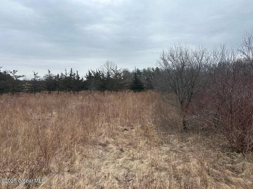 97 Hills Dr, Athens, NY 12015 - photo 1