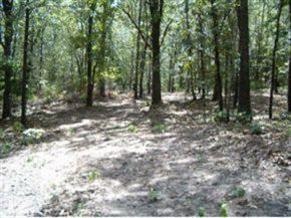 0 Stone unit 11308259, Kimberling City, MO 65686 - photo 1