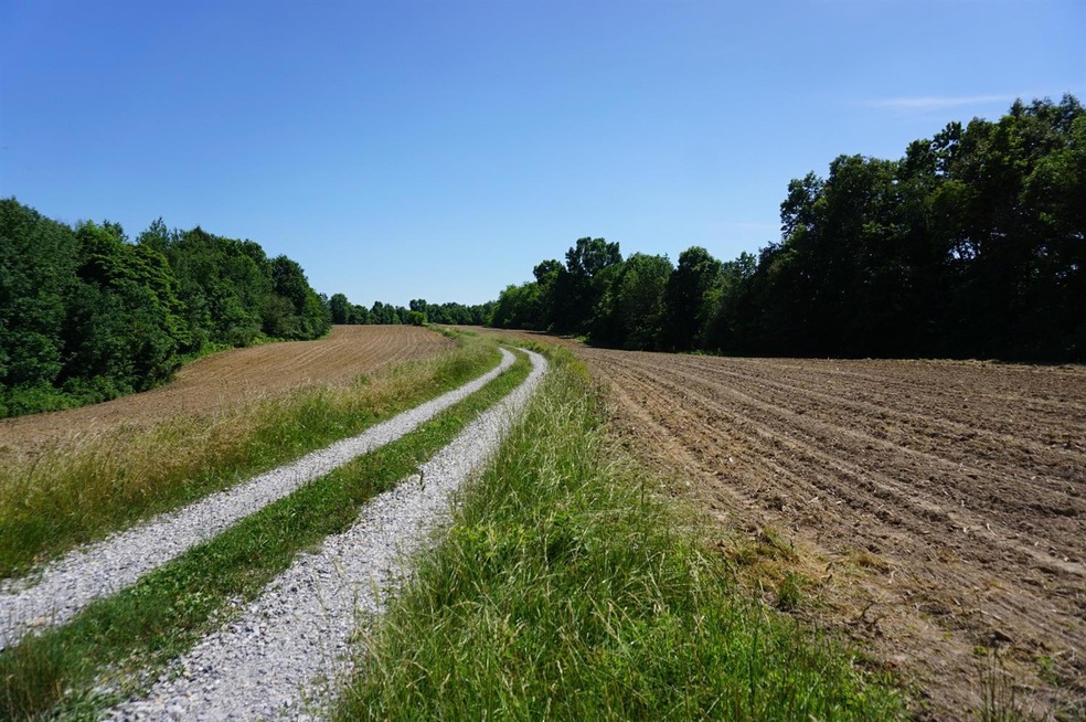 Goff Lane to property on the left is what is for s