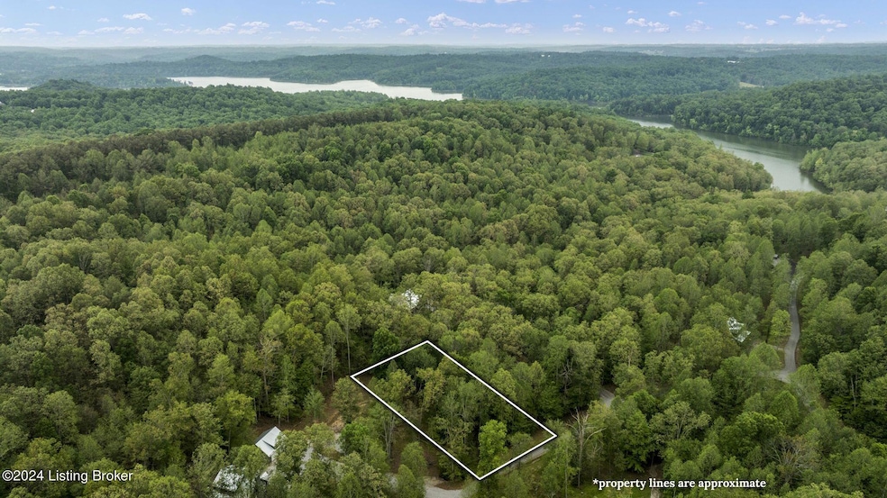 1-web-or-mls-DJI_0068-2 copy