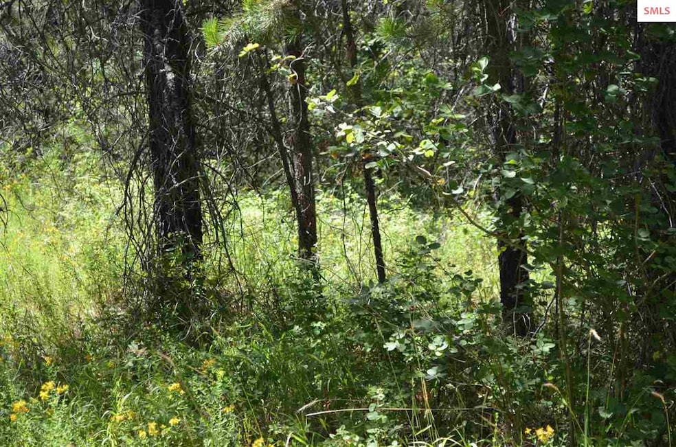 nna E Jensen Ln, Athol, ID 83801 - photo 1