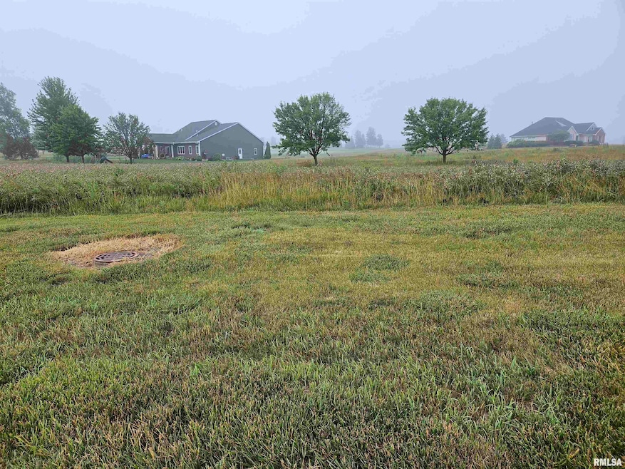 917 Ring Dr, Metamora, IL 61548 - photo 1