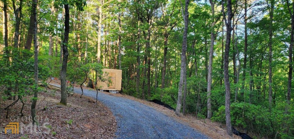 0 Peach Ln unit 15,38-40 (2.8 ACRES), Ellijay, GA 30540 - photo 1