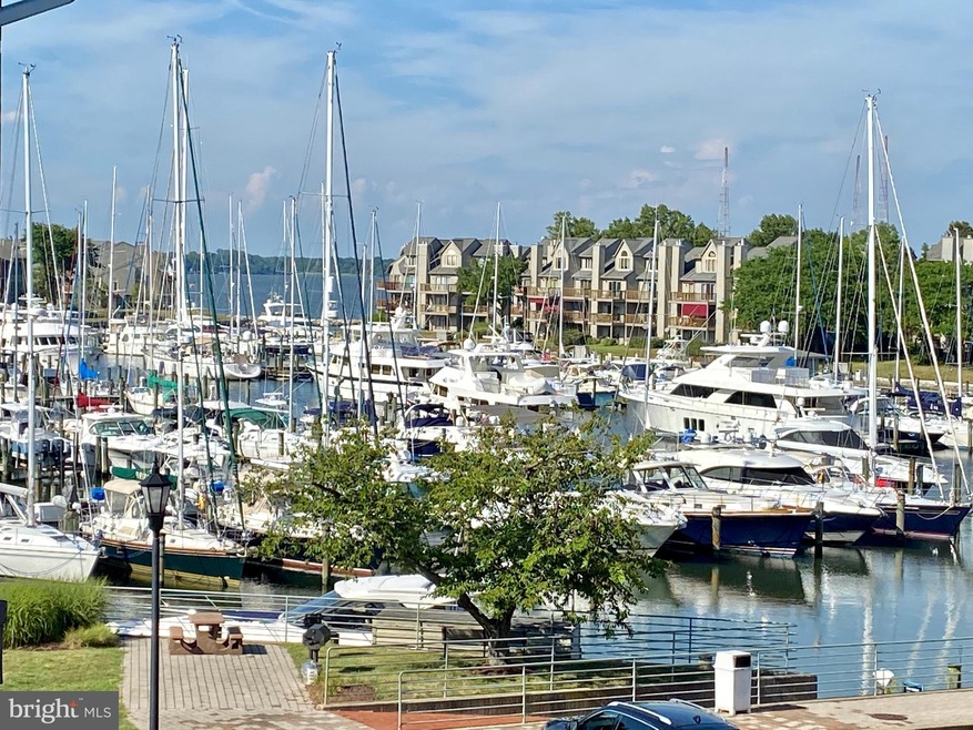 7038 Clinton Ct unit 11B, Annapolis, MD 21403 - photo 1