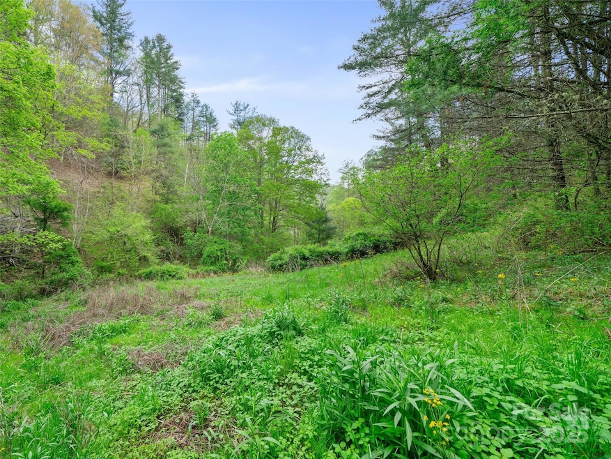 0 Fire Scald Rd unit CAR4252435, Green Mountain, NC 28740 - photo 1