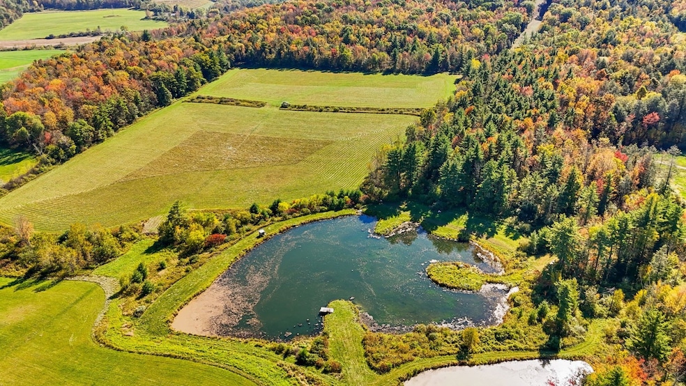 LOT 5 Waits Rd, Owego, NY 13827 - photo 1